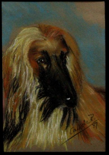 Pinturas de pastel de Cande Rguez