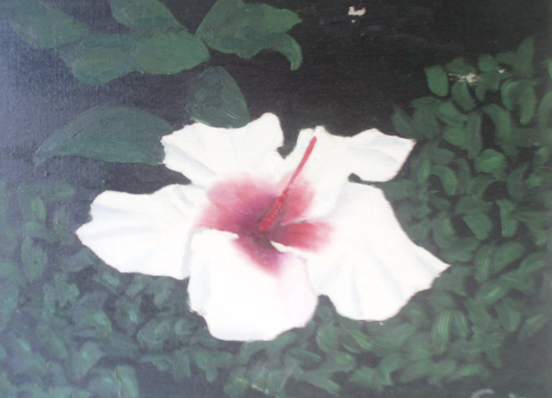Pinturas varias de Cande Rguez